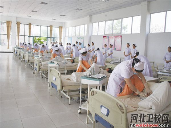 石家莊天使護(hù)士學(xué)校2025年招生計劃